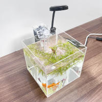 Acuario Ecológico De Acrílico Transparente Para Escritorio De Oficina Pequeño Tanque De Agua Con Hierba Para Camarones Y Tortugas - details 1
