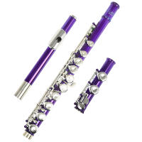 Flauta Transversal SLADE 16 Agujeros C Key Con E Key Plata Esmaltada Instrumento Musical Profesional Para Conciertos - details 8