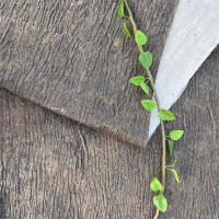 Corte De Simulación De Corteza De Árbol Artificial En Goma Suave Para Plantas Falsas Decoración De Pared Y Bloque De Tubo De Agua Para DIY - details 8