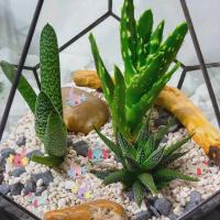 24pcs Mini Figuras De Axolotl Luminosas En Resina Para Manualidades Jardín Paisajismo Ornamento De Casa De Muñecas Decoraciones De Plantas Potted - details 5
