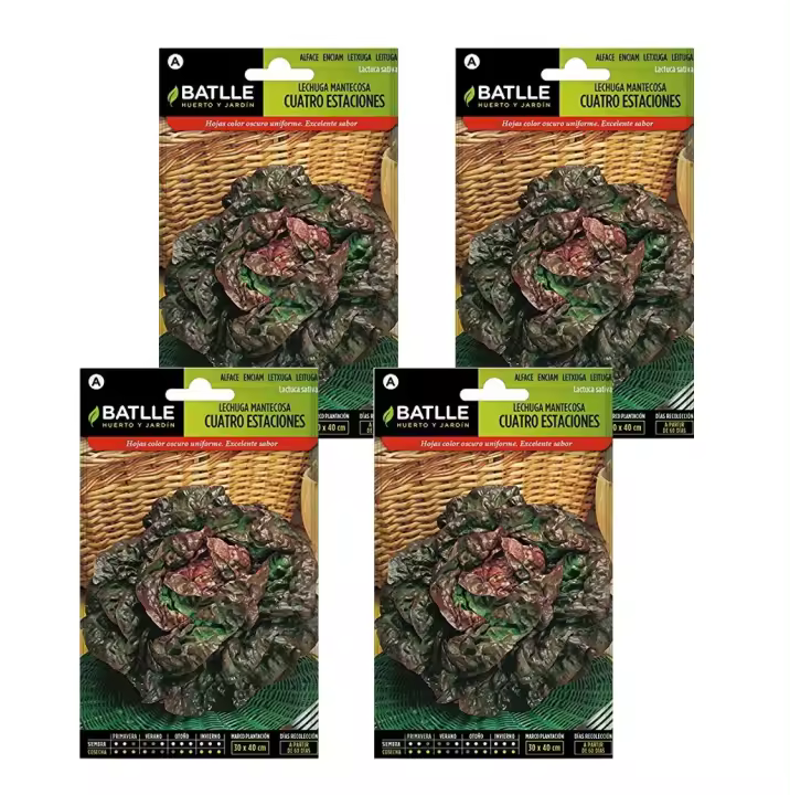 4 Sobres de  Semillas lechuga mantecosa cuatro estaciones para huerto de Semillas Batlle. - 1