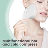 Instrumento de compresas frías y calientes, instrumento de compresas faciales, plancha pequeña, instrumento de belleza para masaje facial, instrumento de entrada de compresas calientes, instrumento de compresas frías para ojos - details 1