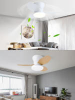 Lalumia LED Ventilador de Techo con Luz LED RXFL8001 - 880mm, Madera Clara, 40W, Temperatura Ajustable 3000K-6000K, 6 Velocidades, Madera Clara - details 3