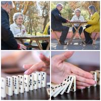 Genérico Domino CB. Juego de Dominó para Adultos - Piezas Grandes - details 1