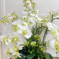1pc Arco De Mariposa De Seda Con 9 Cabezas Orquídea Falsa 69/100CM Para Decoración De Hogar Y Bodas Flores Artificiales Para Decoración Interior - details 4