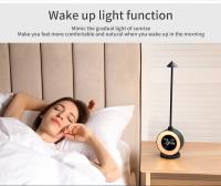 Lámpara de escritorio Nueva 2023, Reloj con calendario perpetuo, despertador, iluminación colorida, Ambiente con Sonido, Luz Nocturna de metal. - details 6