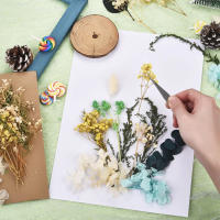 Paquete De Materiales Para Manualidades Con Flores Secas DIY Artesanía Artificial Para Decoración De Bodas Y Fiestas Cursos De Arte Flor Eterna - details 5
