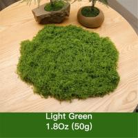 Moss Artificial Verde Para Ornamento De Jardín Decoración De Habitaciones Miniatura De Plantas Verdes DIY Para Macetas Y Artesanía - details 10