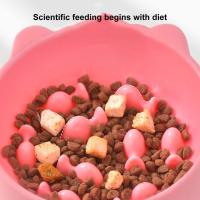 Tazón De Alimentos Para Gatos Con Patas Altas Y Capacidad Grande Protector De Cuello Anti-Obstrucción Dispensador De Agua Para Perros Y Gatos - details 5