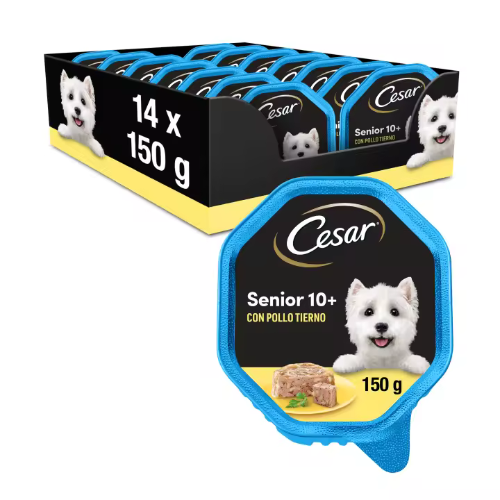 Cesar Comida Húmeda para Perros Senior en paté con Pollo y Arroz (Pack de 14 Tarrinas x 150g) - 1