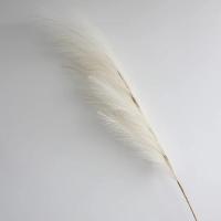 Decorativo Artificial De Pampas Alta Y Fluffly Para Decoración De Hogar Y Dormitorio Estilo Bohemio Flores De Seda Para Bodas Y Fiestas Navideñas - details 7