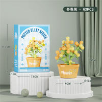 Bloques De Construcción Micro Para Decoración De Hogar Y Jardín Regalo De Navidad Para Niños Juguetes Educativos Creativos Con Plantas Y Flores - details 3