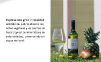 Legaris Sauvignon Blanc - Vino Blanco - DO Rueda - details 3