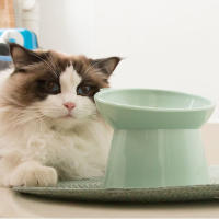 Tazón De Alimentos Para Gato Elevado Antideslizante Anti-Vómito Para Gatos Planos Tazón Inclinado De Alimento Y Agua Para Mascotas - details 9