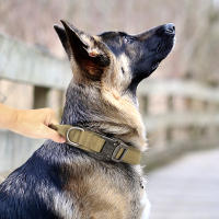 Collar Táctico Para Perros De Medio a Grande Camuflaje Duradero Para Caminar Y Entrenamiento Adecuado Para El Sheperd Aleman - details 10