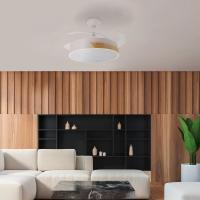 Ventilador DC de Techo LED Ledme MESSE 72W, 107 CM, 3 Tipos de luz, Control Remoto, Memoria y Temporizador, Nature - details 2