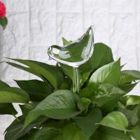 Dispositivo De Riego Automático Para Plantas Forma De Animal Bola De Vidrio Transparente Con Bulbos De Agua Helper De Riego Por Drip Para Florero - details 5