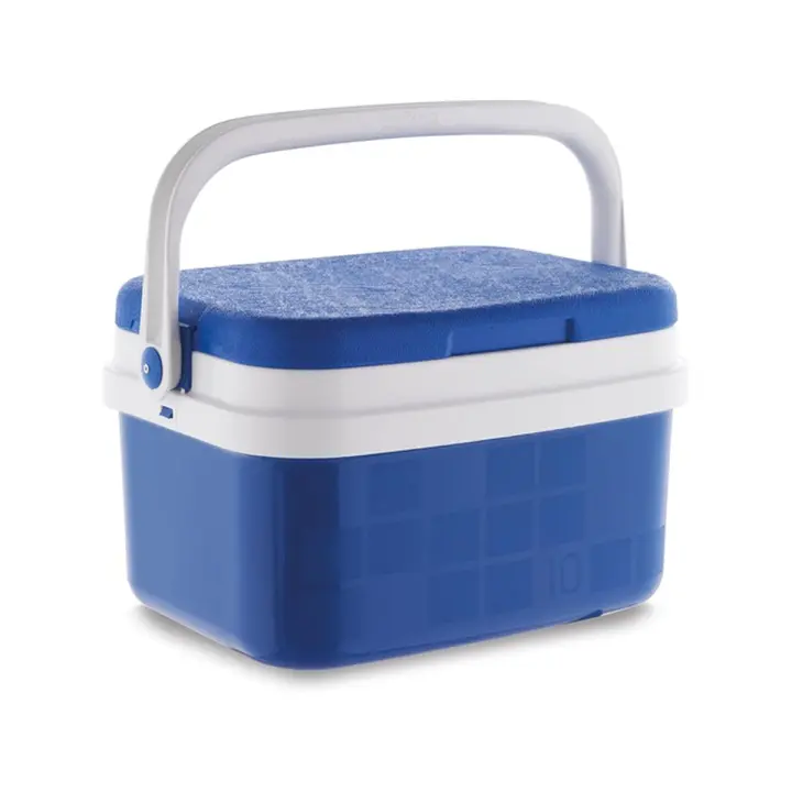 Nevera Portátil Plástico Rígido Térmica con Asa Ideal para playa, excursion al Aire Libre, en el Jardín, Camping, Barbacoa, Mantener Bebidas y Comida en Fria 10 y 16 Litros - CoolBox - 1