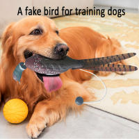 Juguete Para Perros Entrenamiento De Retiro De Pato Falso Juguetes De Masticación Y Juego De Caza Tamaño Simulado Pavo Real - details 0