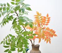 Falsa Hoja De Figo Artificiosa 76-135cm (53.1in) Magnolia Hoja De Suerte Ficus Para Decoración De Jardín Patio Interior Oficina - details 33