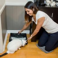 Pila De Orina Para Gatos Plegable Portátil Y Resistente Al Masticar Y Rascado Con Funda De Algodón Oxford Desechable Baño Del Gato - details 1