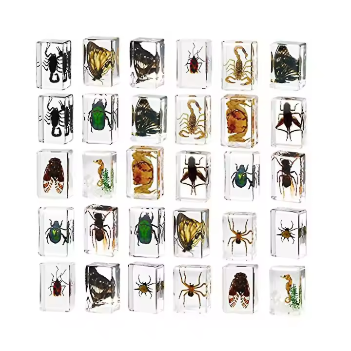 30 En pisapapeles de la colección de los insectos del espécimen de la resina, insectos del juguete convenientes para los niños para el profesor de la ciencia de la biología de la Oficina - 1