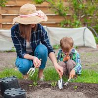 Herramientas de jardín,3Pcs Herramienta pequeña de jardín, Herramientas para Jardín Acero Inoxidable,con Pala con Mango de Madera Herramientas de jardín para niños y Adultos. - details 2