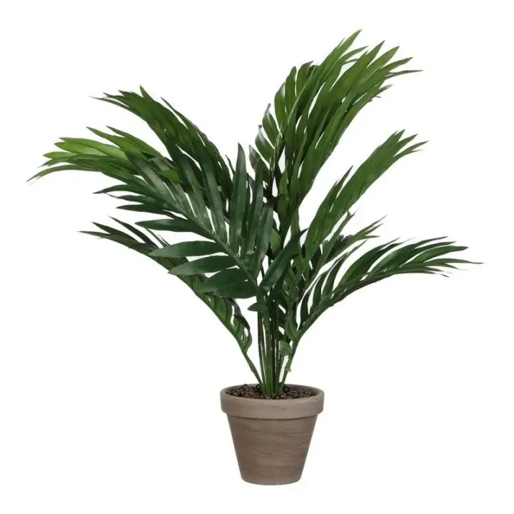 Palmera Amarilla o Areca PVC con Maceta Gris 46x46x42cm - 1