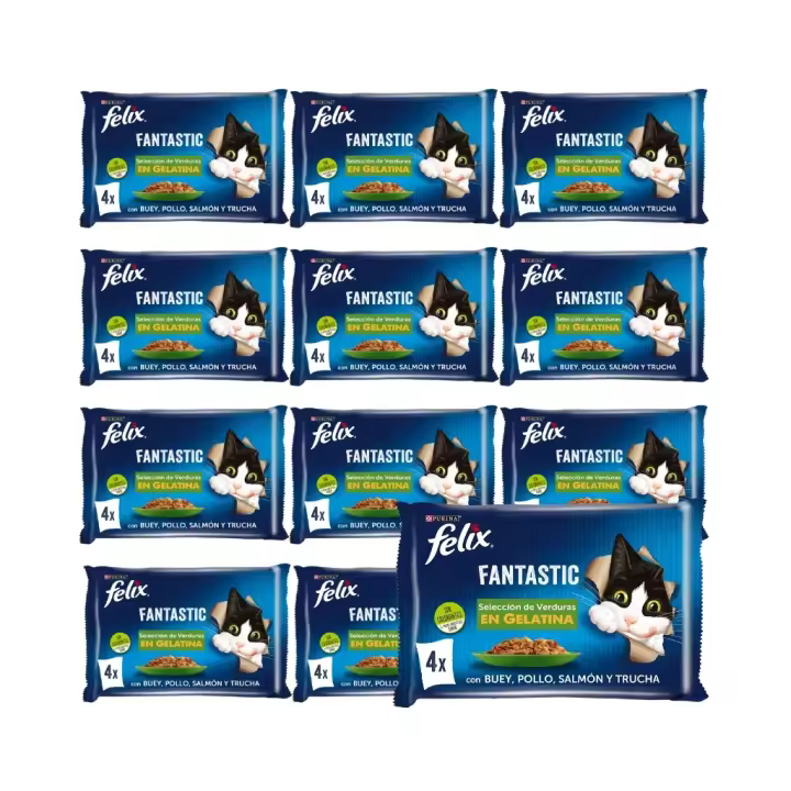 FELIX - Fantastic Gelatina (48x85 gr) - Comida Húmeda Selección de Verduras (Buey y Zanahoria, Pollo y Tomate, Trucha y Judías, Salmón y Calabacín) (12x4x85 gr) - 1