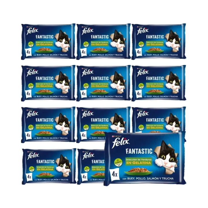 FELIX - Fantastic Gelatina (48x85 gr) - Comida Húmeda Selección de Verduras (Buey y Zanahoria, Pollo y Tomate, Trucha y Judías, Salmón y Calabacín) (12x4x85 gr) - 1