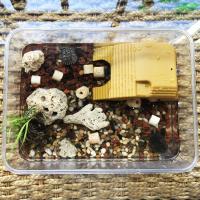 Plataforma De Terraza Para Tortuga Con Ventosa Doble Ruta De Natación En Acuario Suministros De Mascotas Plásticos Para Tortugas - details 2