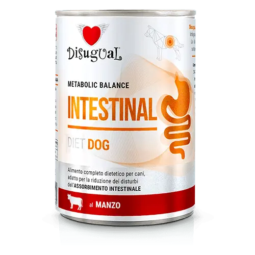 Disugual Perros Gastro Intestinal Sabor Ternera 400 gr - 1