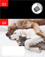 Cortaúñas para mascotas, Tijeras cargables por USB para pulir uñas, cortaúñas para Perros, Device de manicura Automático - details 2