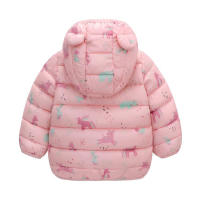 Chaqueta De Poliéster Para Niños Con Capucha Y Cierre De Cremallera Outerwear Ligera Para Otoño Con Estampado De Dinosaurio Cartoon - details 16
