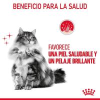 12 sobres x 85 g - Royal Canin Hair and Skin sobre en salsa para gatos - details 7