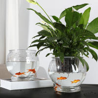 Maceta Autoabastecida Transparente De Plástico Para Plantas Y Acuarios Decoración Moderna Para Sala De Estar Y Oficina - details 2