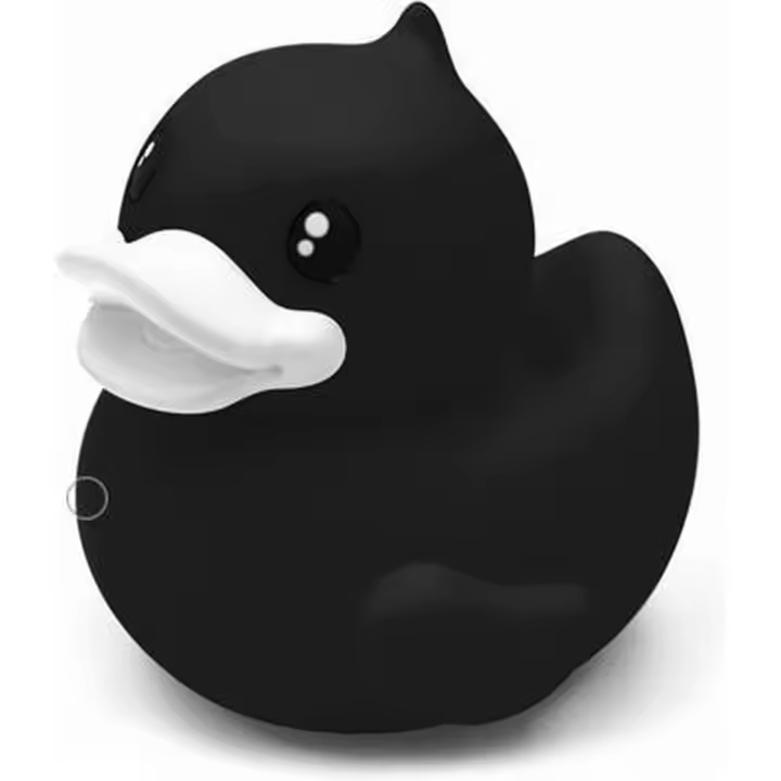 Hucha Pato Negro 9.5x9cm | Excelente Diseño - 1