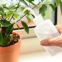 Botella De Riego Para Plantas DIY De Plástico 250/500ML Herramientas De Jardín Micro Paisaje Canastro Para Flores En Casa - details 3