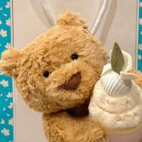 Muñeco De Peluche Jelly Cat 28cm Hug Cake Bartholomew Oso Con Gato Y Perro Juguete Interactivo Oso Teddy Regalo De Vacaciones Lindo Y Suave Para Niños - details 3