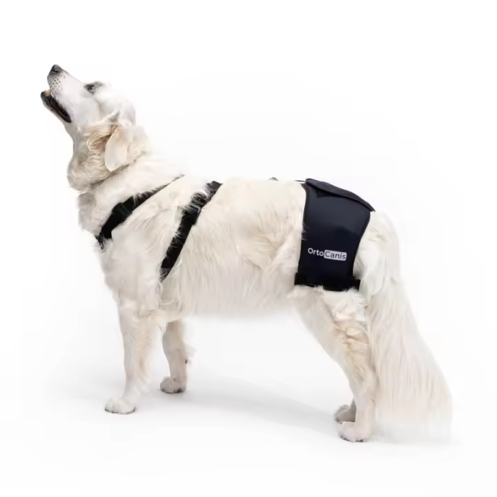 Soporte de Cadera Ortocanis para Perro con Artrosis y Displasia de Cadera - 1