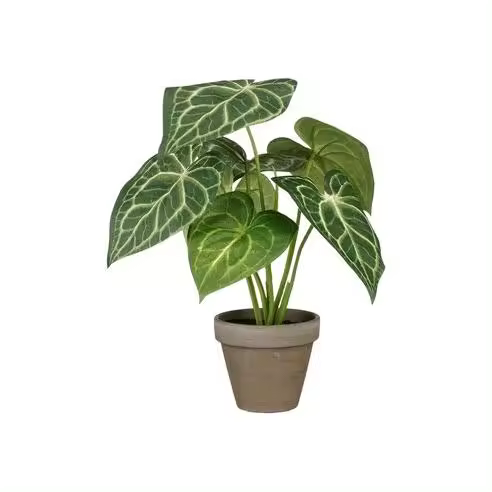 Planta Artificial Caladium "Oreja de Elefante" Verde con Maceta 21x28cm - 1