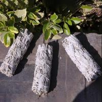 Ramo De Sándalo Blanco De 10cm Palo De Encensado Para Limpieza Energética Aromaterapia Calidad California - details 11