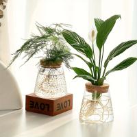 1pc Estación De Propagación De Plantas En Vaso De Vidrio Soporte Para Mesas Decoración Para Oficina Y Hogar Hydroponic Cuttings - details 4