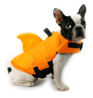 Chaleco De Seguridad Para Perros De Tamaño Pequeño Con Alta Flotabilidad Chaqueta De Natación Para Perros Medianos Y Grandes Para Surf - details 3