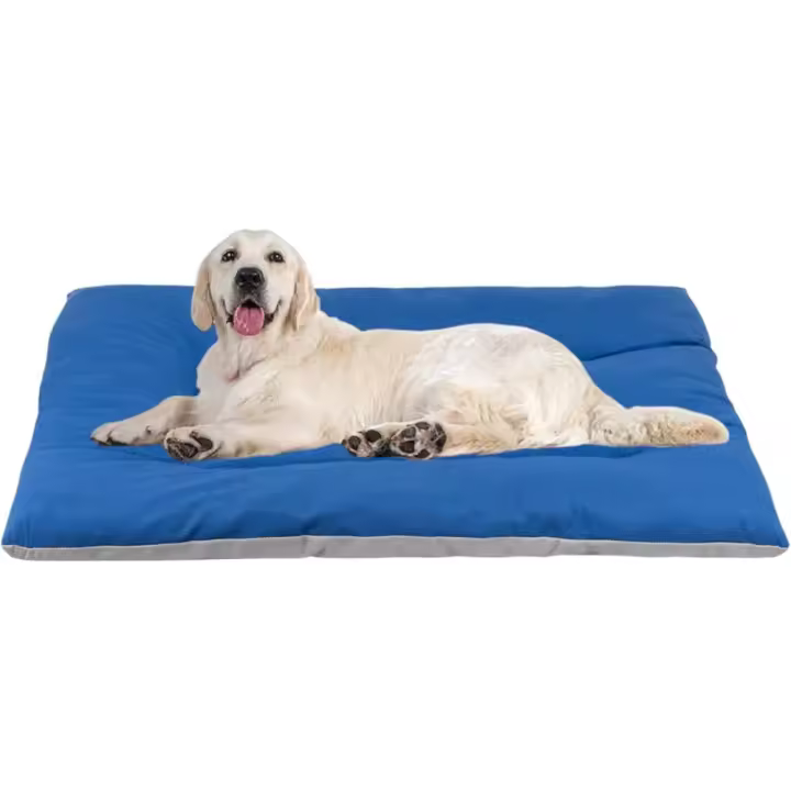 COSHANO Cama de Perro para Perros Grandes, Medianos y Pequeños, Cama de Poliéster, Interior de Fibras de Algodón (Azul, 90x70x10cm) - 1