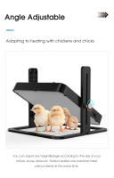 Calefactor Inteligente Para Pájaros Pequeño Con Placa De Calentamiento Seguro Control De Temperatura Para Pollos Accesorio De Jaula Para Mascotas - details 4