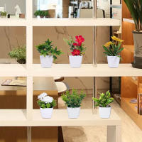Juego De 6 PCS De Plantas Simuladas En Macetas Para Decoración De Oficinas Negocios Foyer Jardín Y Courtyard - details 3