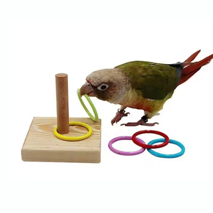 Juguete Educativo Para Pájaros Interactivo Anillo De Entrenamiento Para Periquitos Color Aleatorio Juguetes Para Pájaros - 1