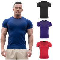 Camiseta De Gimnasio Para Hombres Alta Elasticidad Fitness Rápido Secado Manga Corta Deportes T-Shirt Apretada Para Correr - details 10