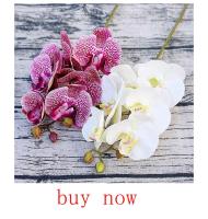 1 Pc De Hierba De Primavera Con 14 Hojas Para Coronas Navideñas Decoración De Jardín Exterior Accesorios Para Arco De Boda Plantas Artificiales Para Scrapbook - details 8